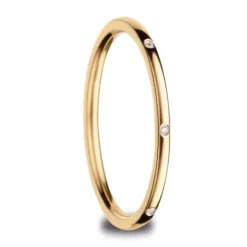 Bering Ringe-Innenring Arctic Symphony - 560-27-X0