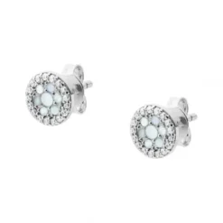 Fossil Ohrringe-Sterling Ohrstecker - JFS00518040