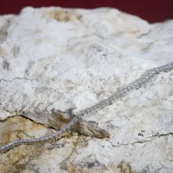 Morellato Armbänder-Tennis Armband - SATT15