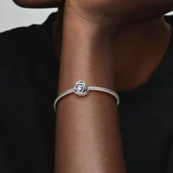 Pandora Charms/Beads-April Geburtsstein Klarer Ewigkeitskreis Charm - 790064C01