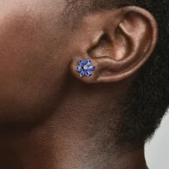 Pandora Ohrringe-Funkelnde Herbarium Cluster Ohrringe - 292407C01