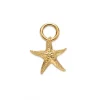 Paul Hewitt Charms/Beads-Starfish Charm Gold - PH-JE-0426