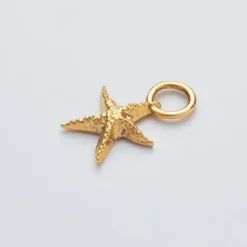 Paul Hewitt Charms/Beads-Starfish Charm Gold - PH-JE-0426