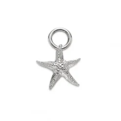 Paul Hewitt Charms/Beads-Starfish Charm Silber - PH-JE-0428