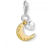 Thomas Sabo (Kette mit) Herz-Charm-Anhänger Mond & Herz I Love You to the Moon & Back - 1443-413-39