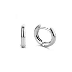 Ti Sento Milano Ohrringe-Ohrringe - 7811SI