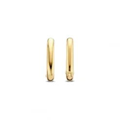 Ti Sento Milano Ohrringe-Ohrringe - 7845SY