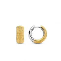 Ti Sento Milano Ohrringe-Ohrringe - 7895SY