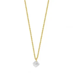 Xenox Halsketten-Fancy Cut Gold Halskette - XS6023G